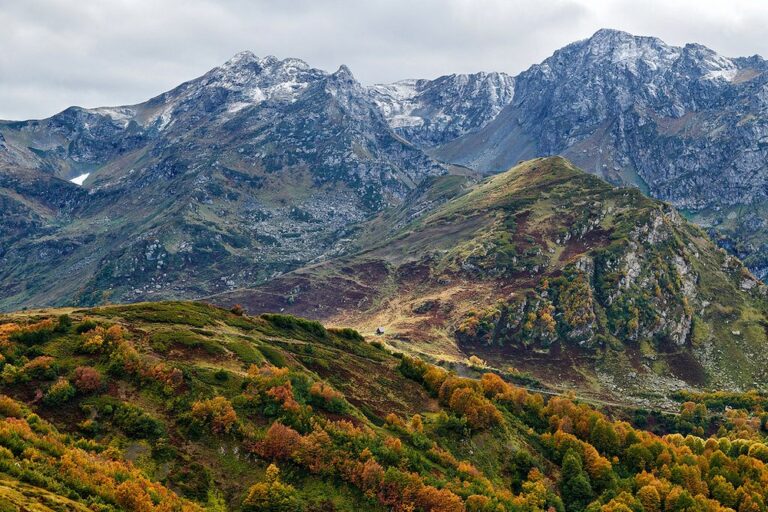Экскурсия «Высокогорная Абхазия: от Рицы до альпийских лугов»
